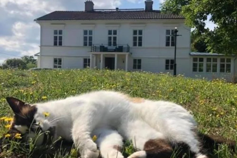 Amiralsgården Verstorp