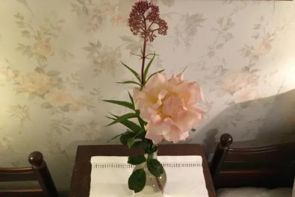 Berte Bed&Breakfast