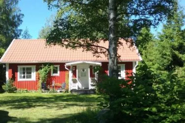 Björkslingan