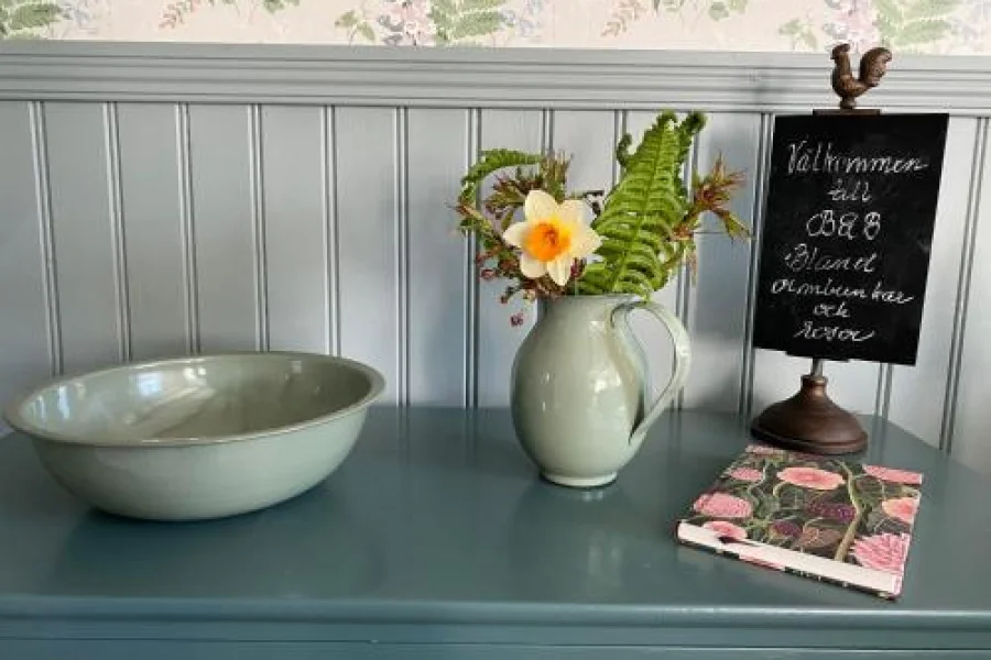 B&B Bland ormbunkar och rosor