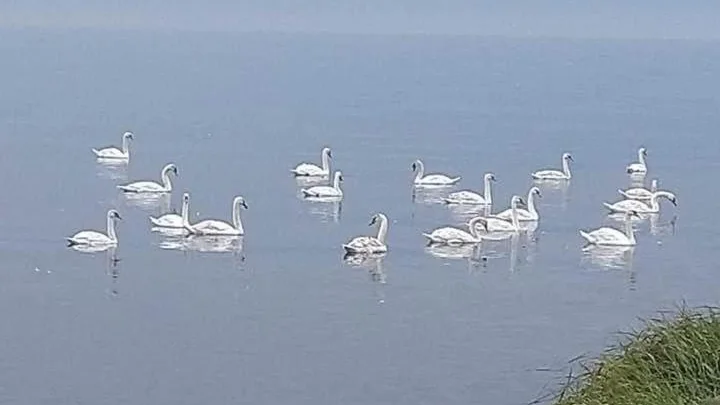 Takvåning-Borgholm