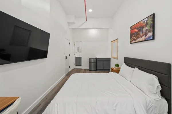 The Serene - Modern Queen Room in Harlem