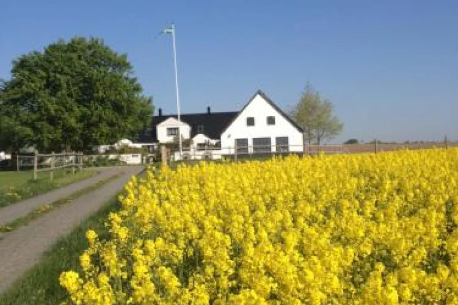 Arnhög Farm