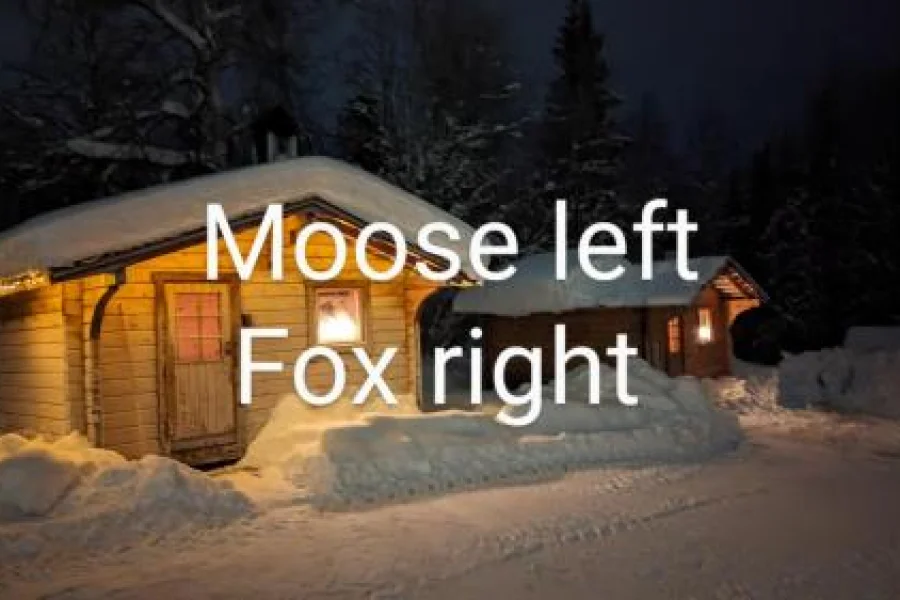 Lapland Snow Moose