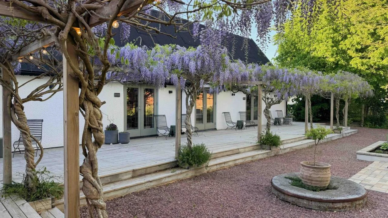 Wisteria Österlen