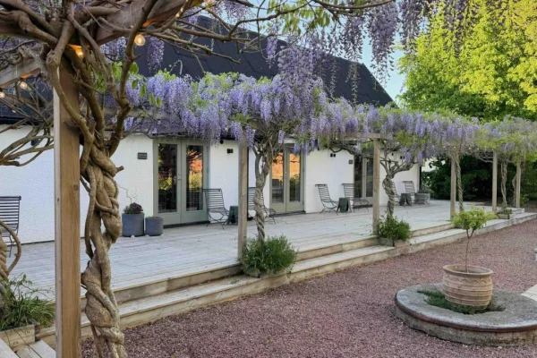 Wisteria Österlen