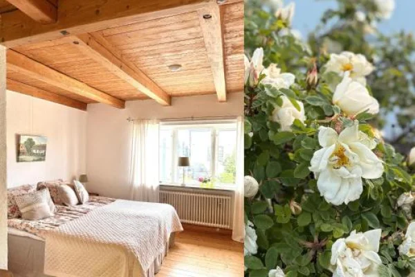 Rävåkra B&B Österlen